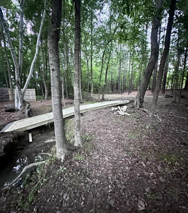 wooden bridge